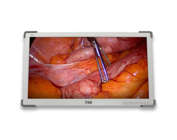 fsp3102d-31-4k-tibbi-monitor