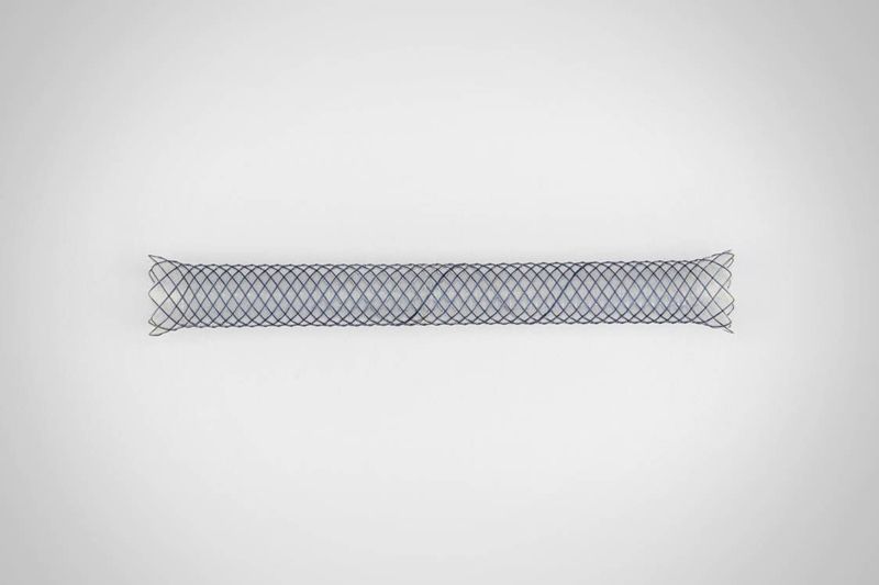 garson-metallik-biliar-stent